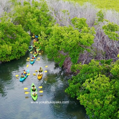 kayaks in water