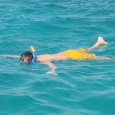 sea snorkeling