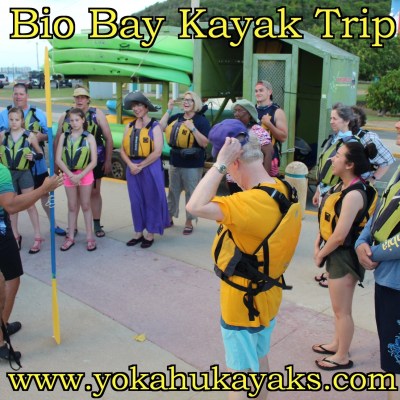 tour group kayak lesson