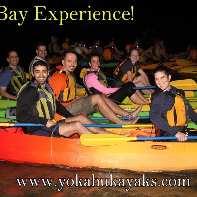 tour groups in kayak