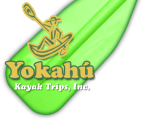 Yokahú Kayak Trips