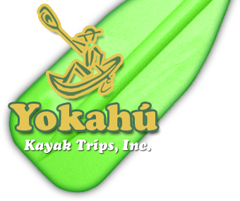 yokahu kayak trips inc logo